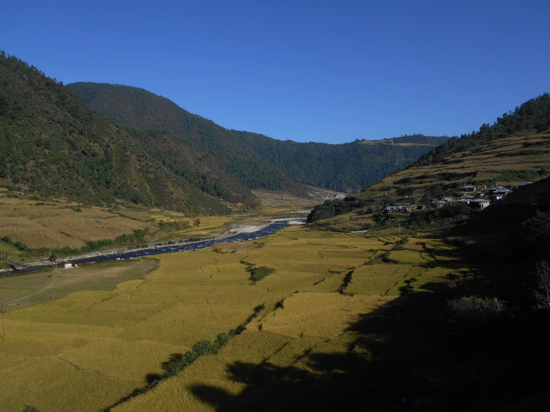 Homestay named Dirang Hot Spring Farmstay in Dirang Valley