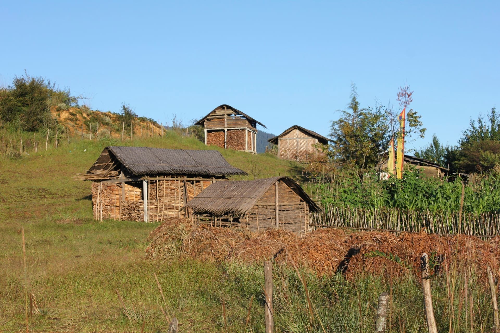 Homestay named Mechuka Valley Homestay in Mechuka Valley